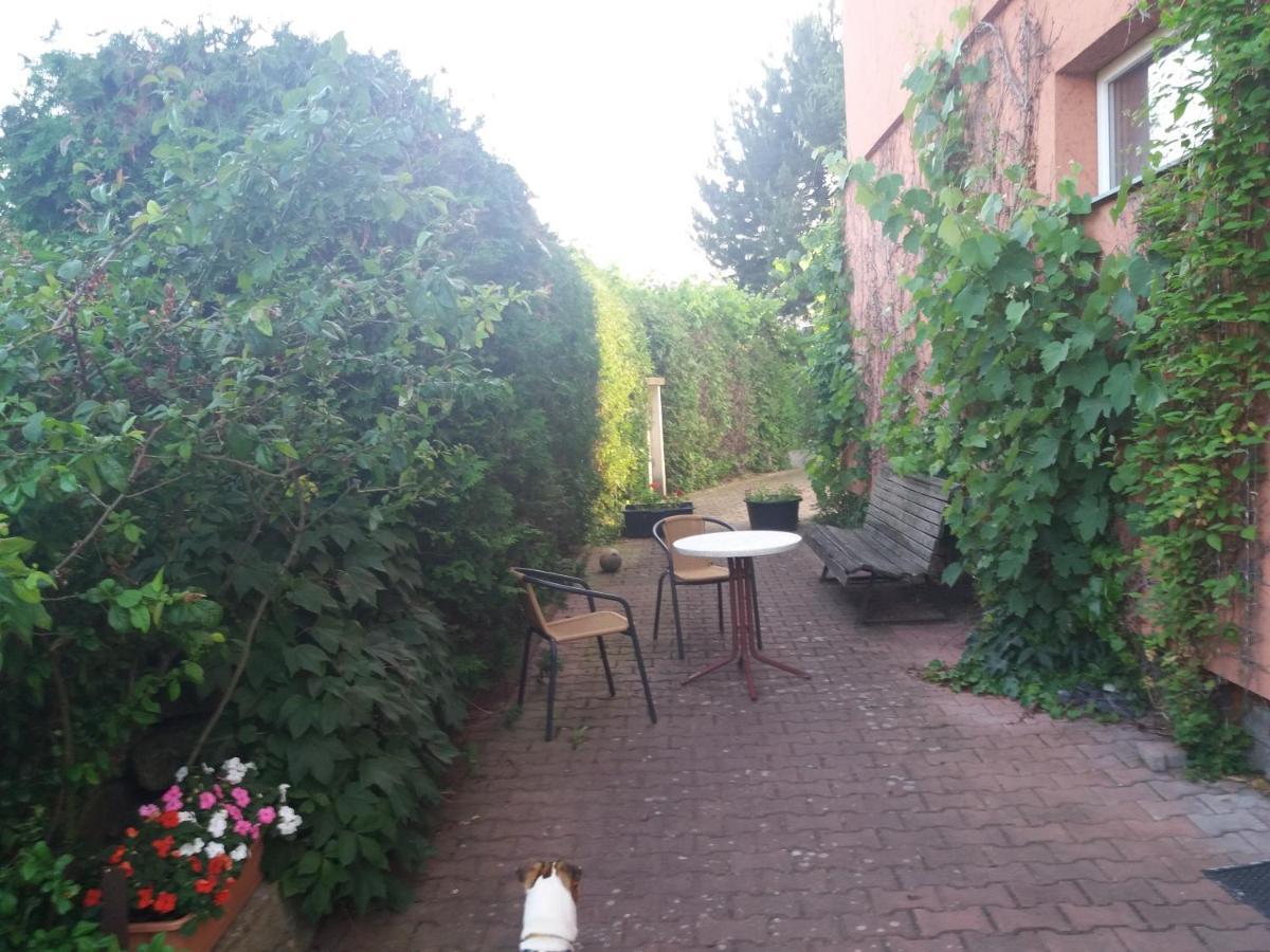 Apartman Na Skale Kostelec nad Orlicí Exterior photo